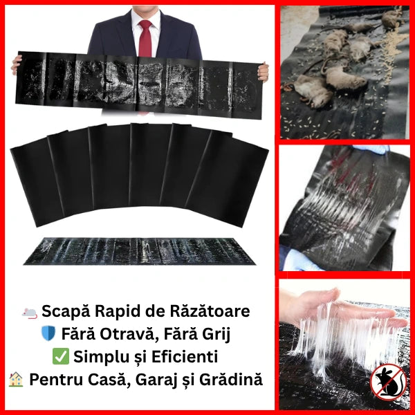 Set 3 Capcane XXL Pentru Răzătoare RatTrap™ – Protecție Totală Garantat